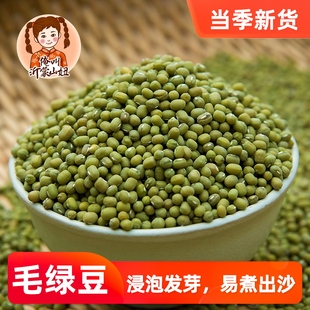 农家种植绿豆发豆芽煮粥绿豆新鲜毛绿豆大颗粒笨绿豆俺叫沂蒙山妞