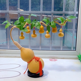 一根藤上7个娃葫芦树葫芦娃摆件仿真绿植藤条葫芦娃树藤装饰摆件