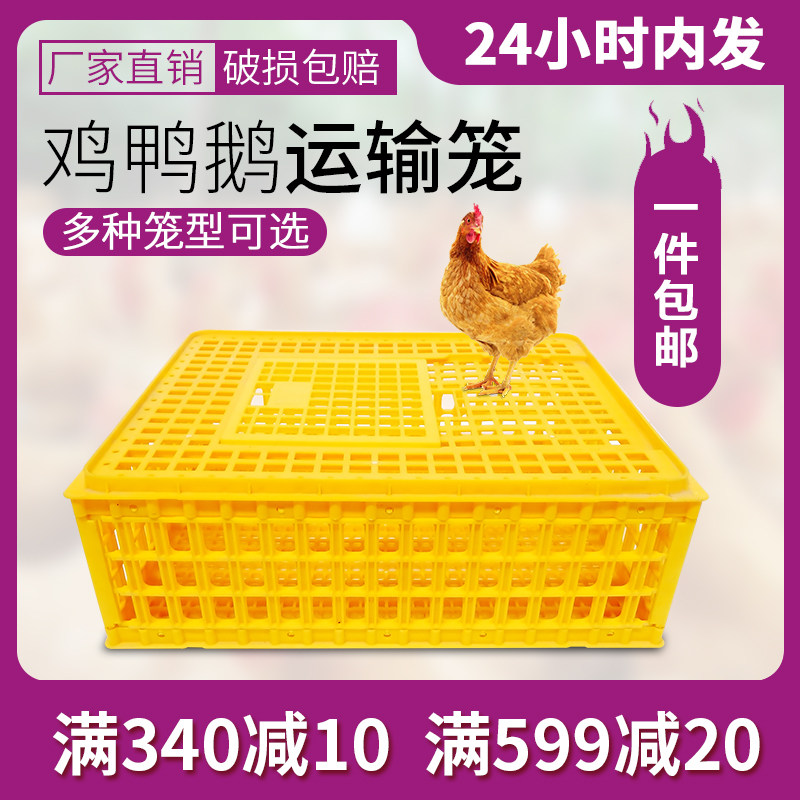 鸡笼塑料周转箱 鸡笼子运输家用特大号养殖鸭筐 加厚胶框成兔鸽鹅|msdalam kategori haiwan peliharaan/makanan haiwan dan bekalan, Cat/anjing harian, sangkar - dari Buy2taobao.com untuk memberikan perkhidmatan ejen Taobao profesional membeli