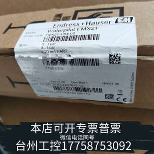 液位计 台州设备E H静压液位计 也叫投入式 AA221 FMX21