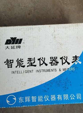 台州设备东辉仪表 东辉大延仪表 DY2000东辉智能数字显示仪表，带