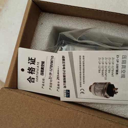 台州设备成都正华压阻真空规
