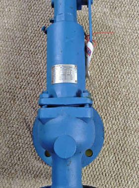 台州设备LESER莱斯安全阀，DN40，PN40，Type:44