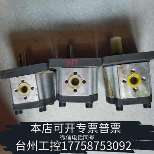 台州设备SDH大众齿轮泵CBTt-F310F3P7 物品实景