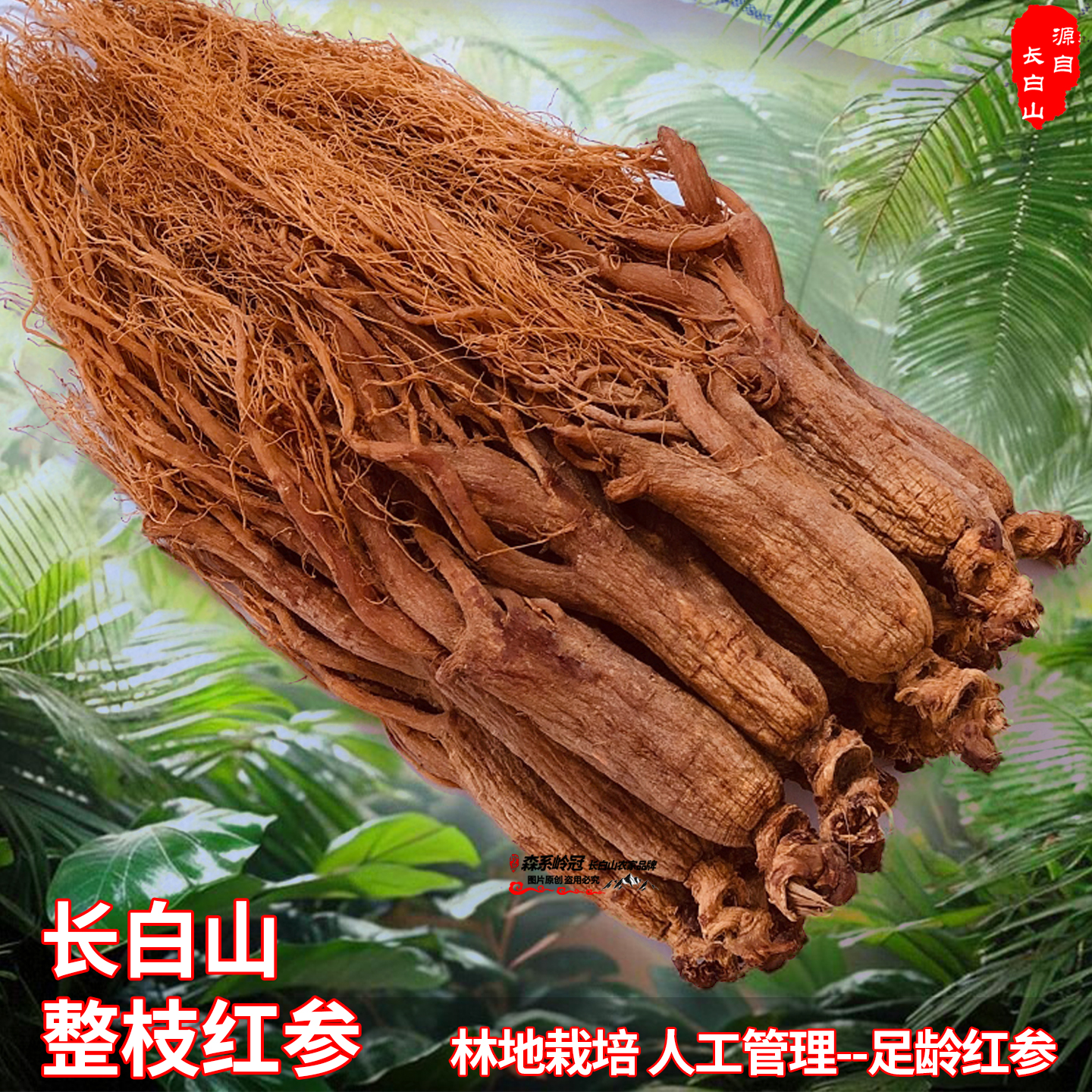 长白山精选正宗无糖整枝红参煲汤