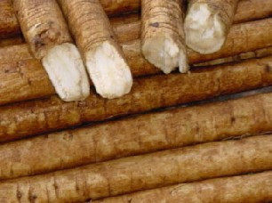 徐州新鲜黄金牛蒡根养生茶野生牛蒡茶干片五行汤原料20斤80包邮