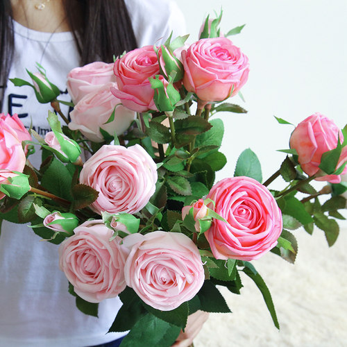 黄色玫瑰花价格 黄色玫瑰花图片 星期三