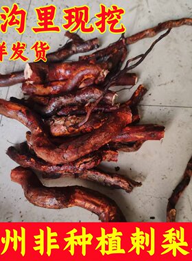 贵州特产中药材野生刺梨根