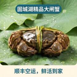 【全母活蟹】南京高淳固城湖大闸蟹鲜活特大螃蟹去绳净重顺丰包邮
