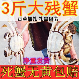 3斤装残蟹固城湖大闸蟹鲜活螃蟹特大断脚断腿螃蟹公3两母2两10只