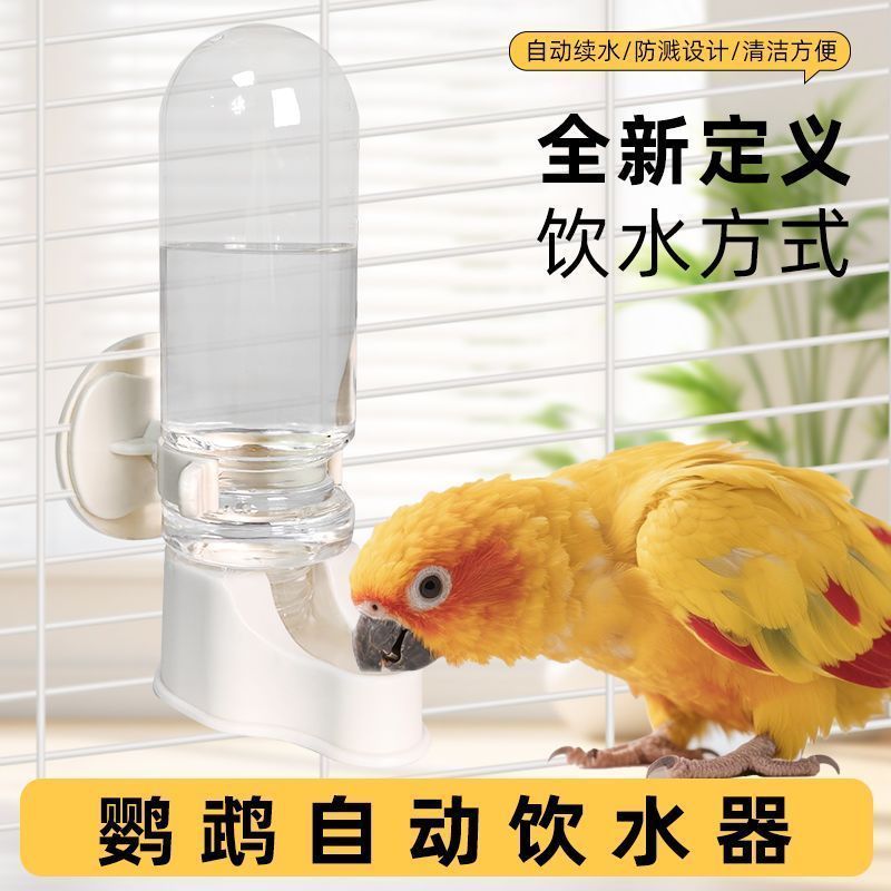 鹦鹉自动饮水器透明防溅设计