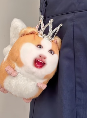 【仙女下凡】猪妞挂件毛绒玩具搞怪荷兰猪玩偶会发声表情包公仔