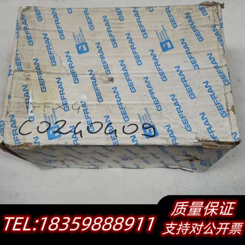 意大利GEFRAN杰弗控制器GFX4-30-0-4-0-E-议价