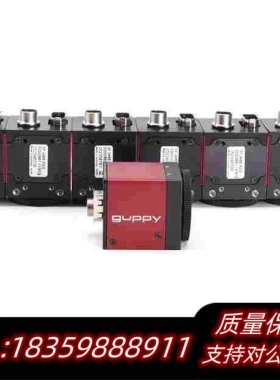 全新库存AVTguppyF-046BASG黑白工业相机需询价