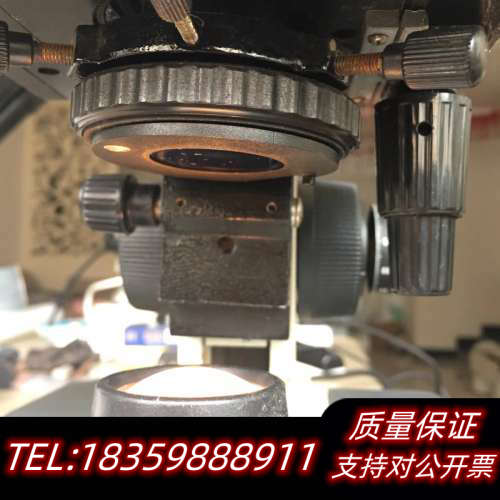 出收藏光学双目显微镜，上光高眼宽10倍目镜二个，上议价