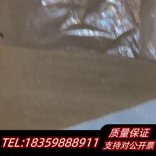 Denka TFE 热电偶 174C TSC2  SN 26议价