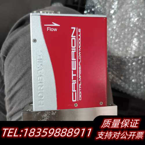 HORIBA D519J流量计 制造 10SCCM议价