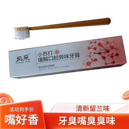fe生物酶止血抗过敏风采小苏打牙膏排行榜第一名去口臭美白除异味