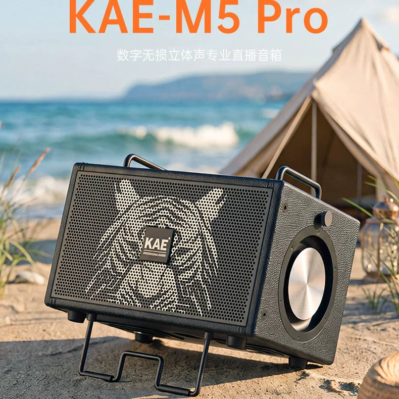 KAE M5乐器专用音响数字无损直播音箱环绕立体声弹唱电吹管萨克斯