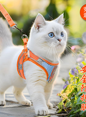 猫咪牵引绳防挣脱不勒脖子可调节