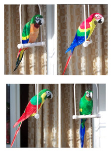 定做仿真鹦鹉 羽毛金刚鹦鹉 架子挂件园林装饰仿真鸟 摄影道具