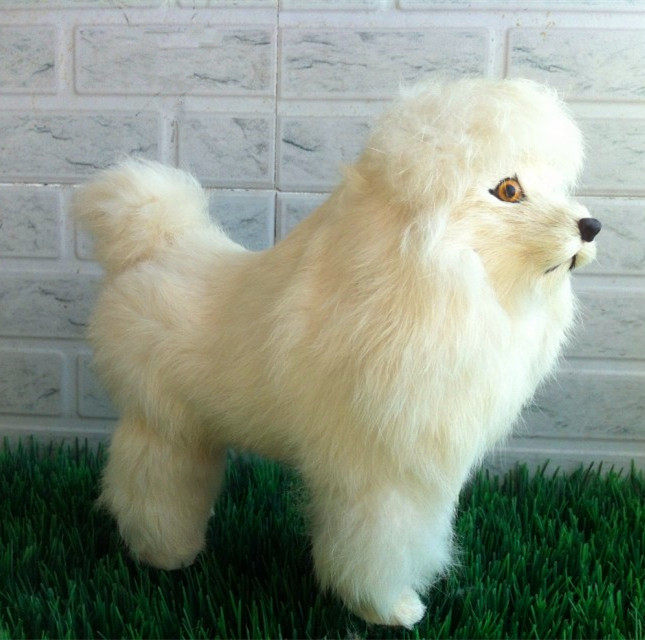 蹲贵宾犬 贵妇犬 真皮富贵犬萌狗狗 仿真动物 模型
