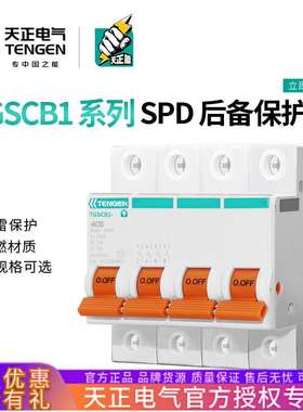 TENGEN天正电气 TGSCB1浪涌后备保护器SPD防避雷器4P前端分断开关