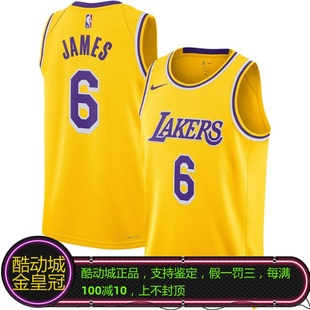 728 DN2009 NIKE耐克詹姆斯6号湖人队22 23球队限定SW球衣背心
