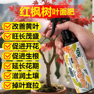 红枫树专用肥料盆景羽毛枫黄金流泉枫金隐秋月土壤营养液叶面肥料
