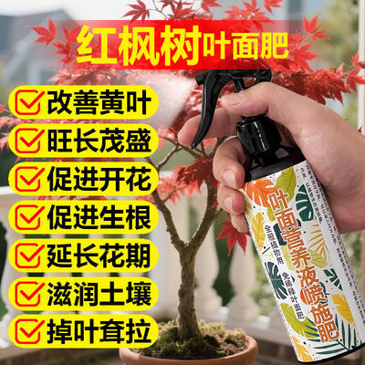 红枫树专用肥料盆景羽毛枫黄金流泉枫金隐秋月土壤营养液叶面肥料