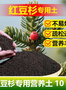 红豆杉专用土料种植盆栽红豆杉树苗土盆景营养土种植肥花卉土家用