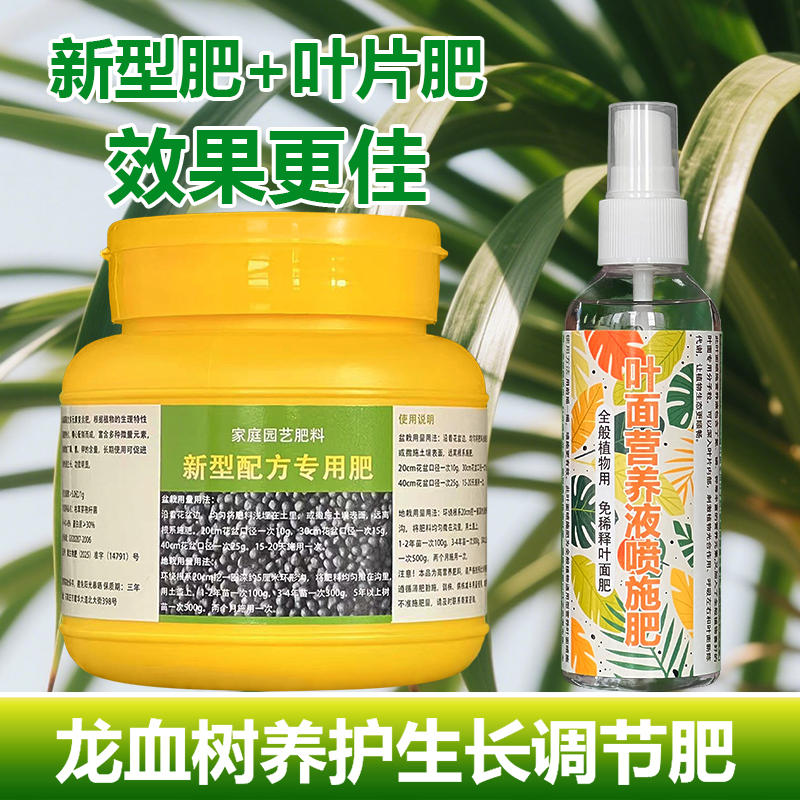 龙血树专用肥料树苗营养液腐烂发软干瘪叶尖焦黄干枯黑斑叶面肥料