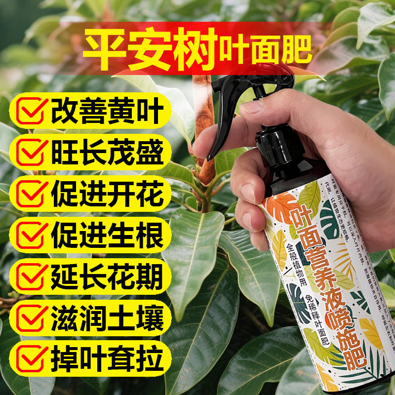 平安树专用肥料树苗种植盆栽养殖土壤绿植营养液叶面肥水溶化肥料
