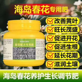 海岛春花树花盆景石斑木专用营养液养殖室内盆栽绿植老桩叶面肥料