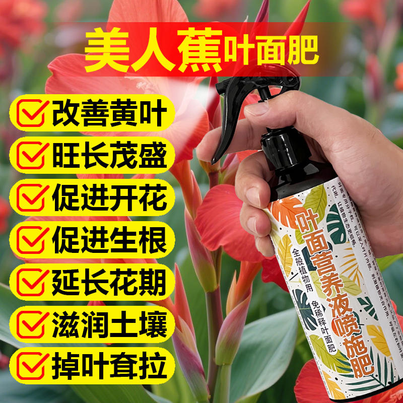 美人蕉专用肥料盆栽绿植种植水培营养液钻芽生长叶大根肥开花肥料