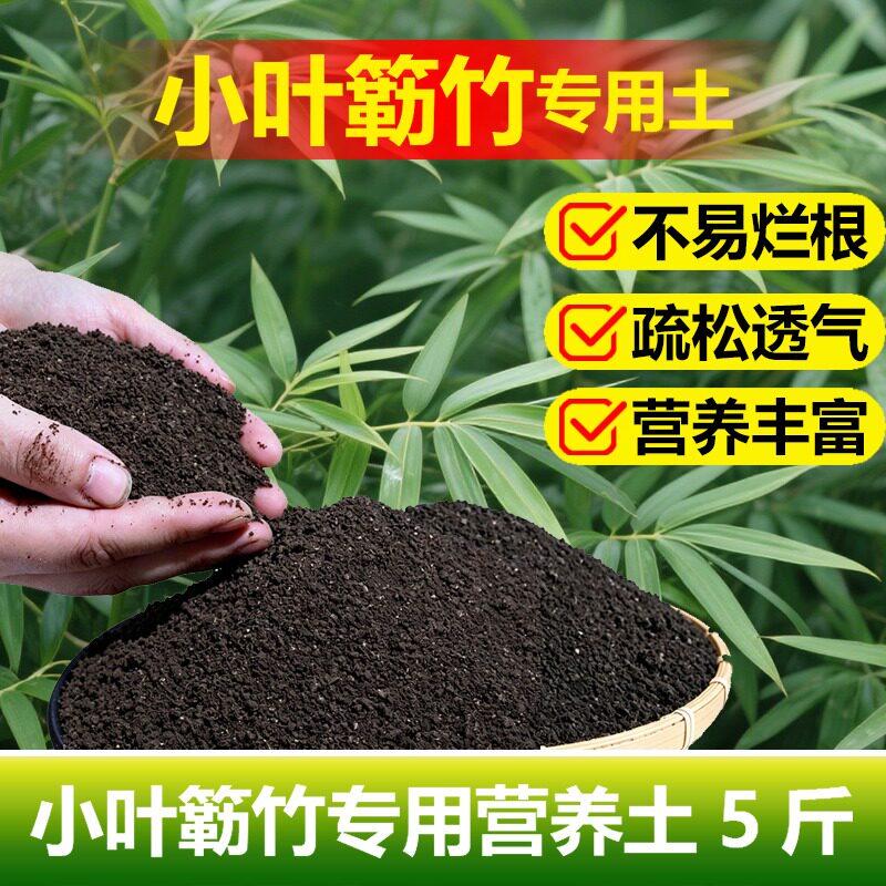 小叶簕竹家用勒竹专用土室内客厅阳台盆栽绿植物盆景竹子缓释家用