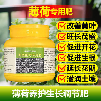 薄荷专用肥料猫薄荷叶营养液叶片茂密翠绿展叶夫叶茂盛爆叶面肥料