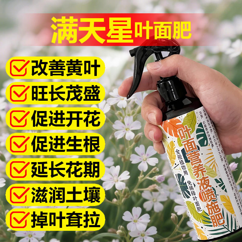 满天星专用肥料养殖盆栽满天星专用土满天星花养护营养液叶面肥料