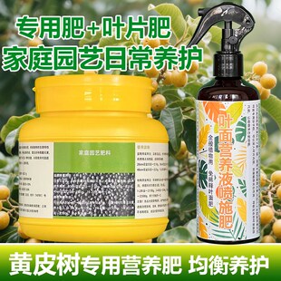 黄皮树专用肥料盆栽种植黄皮果树苗营养液氮磷钾颗粒浓缩有机肥料