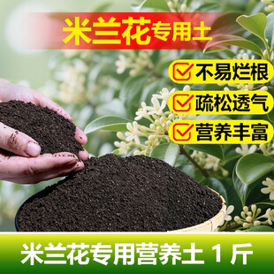 米兰花专用土料养殖盆栽营养土旺长旺盛开花肥发新芽长新种植家用
