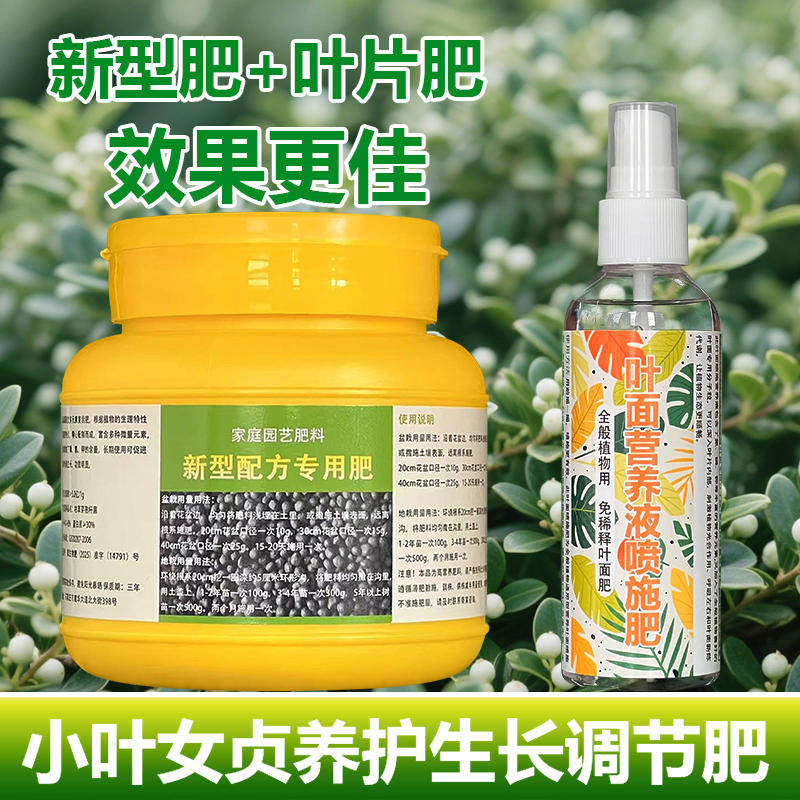 小叶女贞专用肥料绿篱树苗花盆景专用土壤营养液叶面肥水溶化肥料