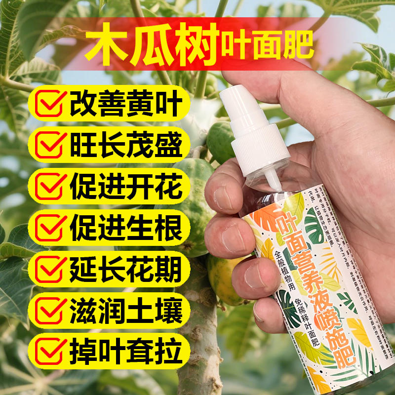 木瓜果树专用肥料种植木瓜树苗营养液发黄枯萎锈斑蔫卷曲叶面肥料