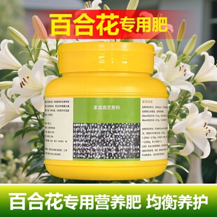 百合花专用肥料盆栽种植种球香水百合花肥水培土培营养液叶面肥料