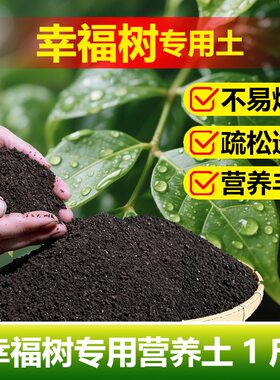 幸福树专用土料盆栽绿宝树土壤复合营养土种植肥有机肥花卉土家用