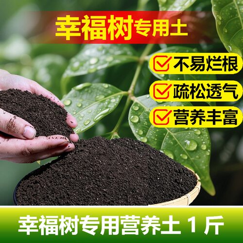幸福树专用土料盆栽绿宝树土壤复合营养土种植肥有机肥花卉土家用