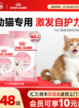 皇家猫粮幼猫粮K36/6.5KG离乳期英短幼猫粮全价粮营养粮新品上市