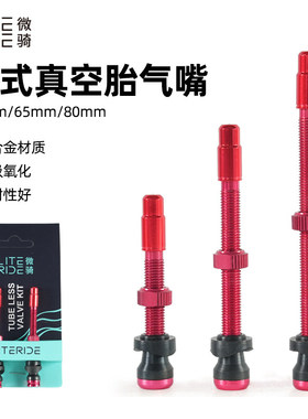 LITERIDE微骑自行车真空胎气嘴法嘴45mm 65mm 80公路车真空无内胎