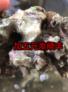 善水阁新鲜白心活石，每一块均为砸开手选，造景。一石成景。