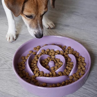 高颜值花瓣陶瓷慢食碗狗碗护防噎狗食盆防止黑下巴猫碗猫咪慢食盆