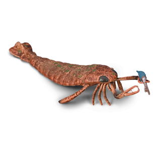 英国CollectA我你他史前海洋昆虫模型玩具80030海蝎子及猎物2025